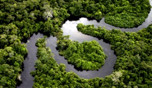 Opiniao_28_05_08_Amazonia_Brasileira_Ate_quando_Bruno_Engert_Rizzo