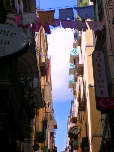 P1010665