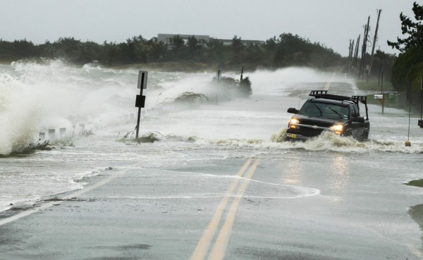 sandy.carro