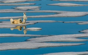 globalwarming_2511421b