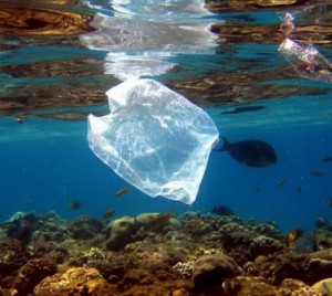 red-sea-plastic-bag