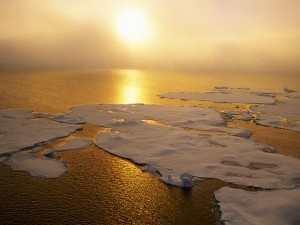 what-global-warming_6372_600x450