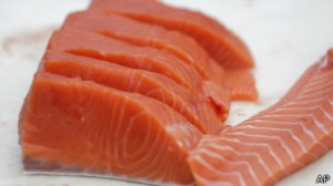 130628040838_salmon_304x171_ap