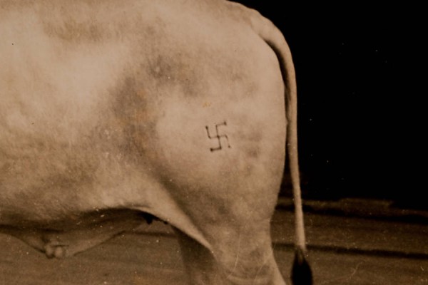 vaca nazista