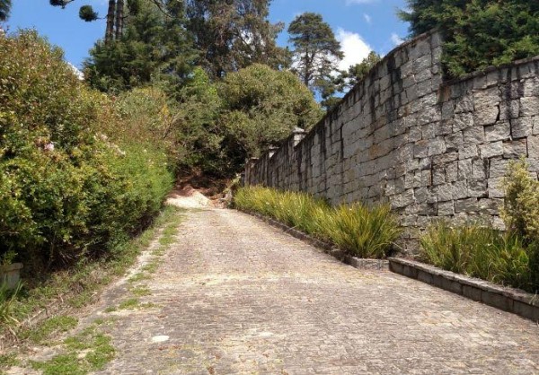 O terreno que havia sido ocupado por Doria, agora livre para o público