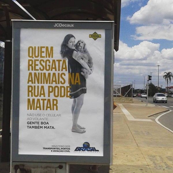 campanha