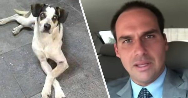 Eduardo Bolsonaro usa morte de cachorro para fazer politicagem