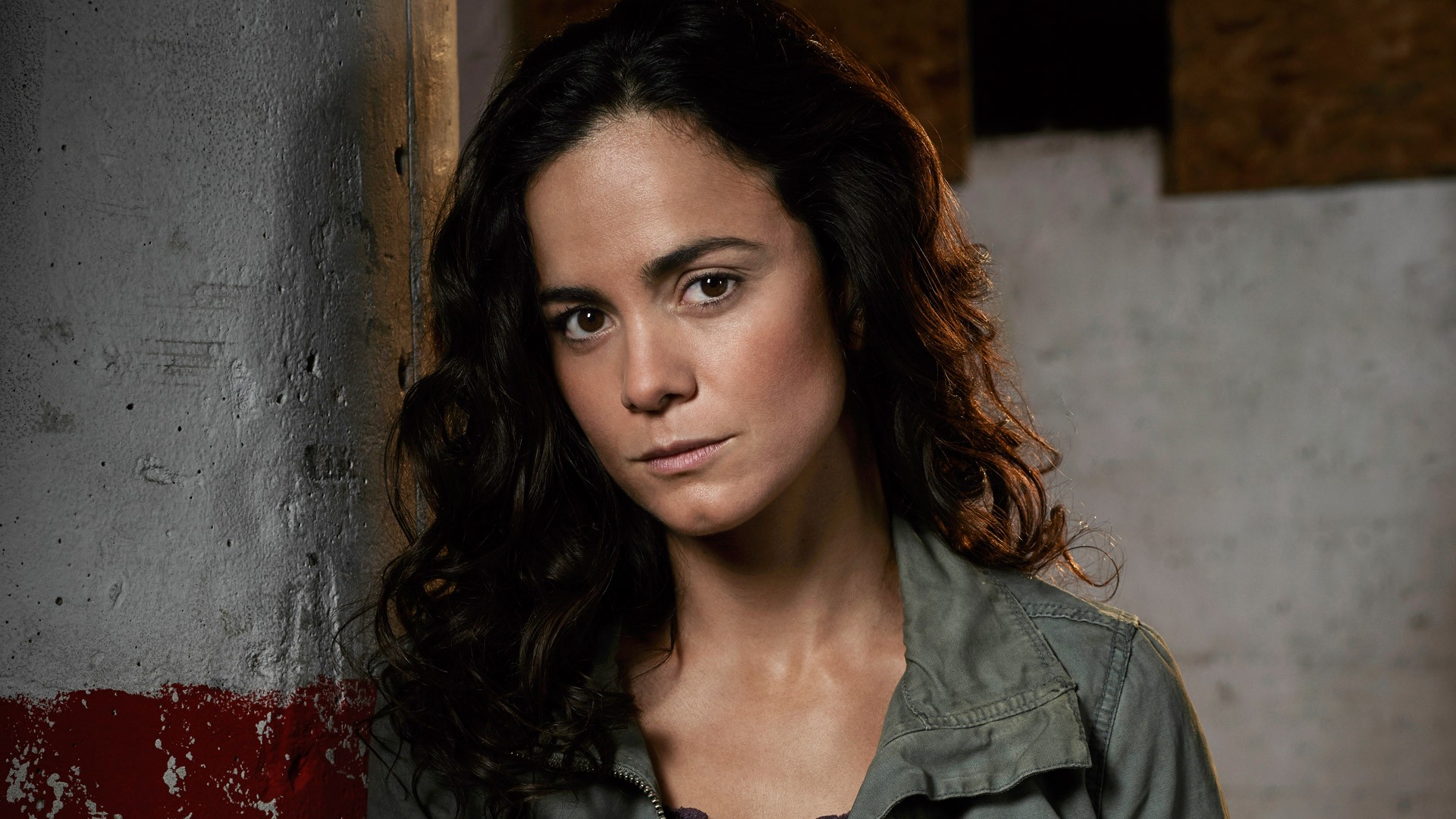 Alice Braga cria conta no Twitter só para pedir ...