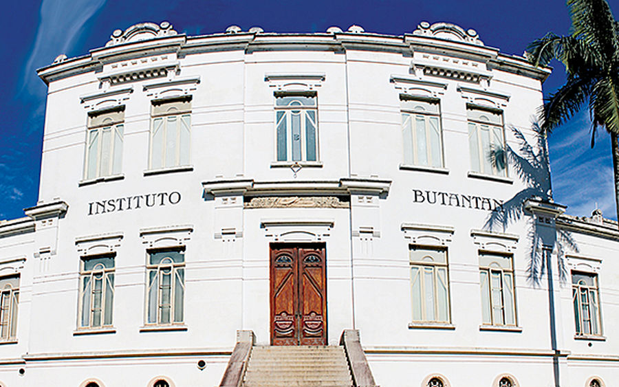 Relembre as contribuições do Instituto Butantan antes da Coronavac, desde 1901