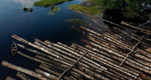 Amazônia