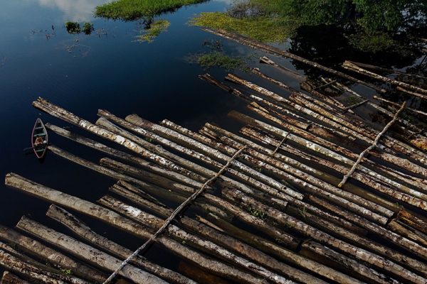 Amazônia