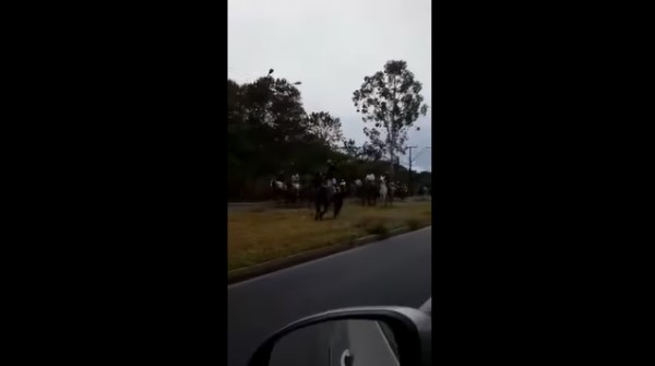 Bolsonarista fazem cavalgada na cidade de Bauru