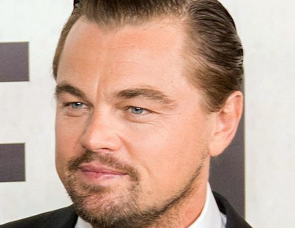 Veja o Leonardo DiCaprio