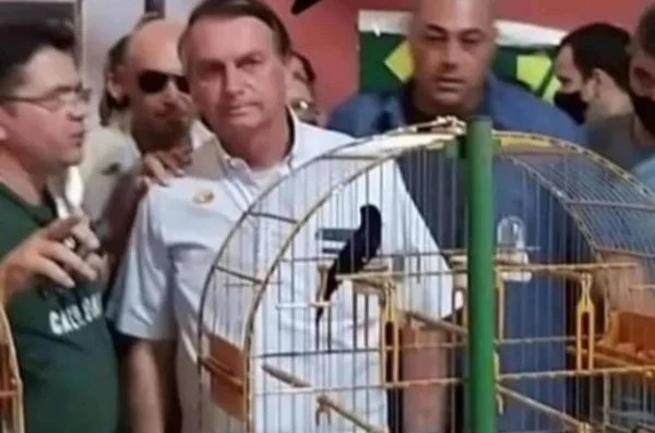Bolsonaro
