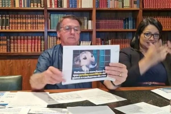 Bolsonaro em live