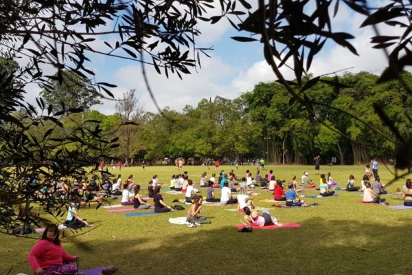 Veja Parque Ibirapuera