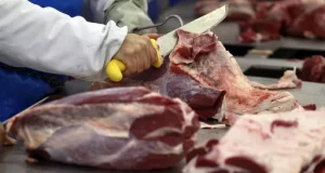 carne bovina china
