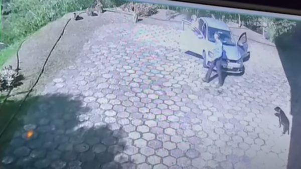 Casal vê avião de Marília Mendonça caindo