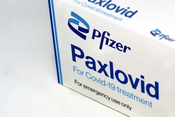 Antiviral da Pfizer contra Covid-19