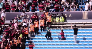 palmeirense e flamengo libertadores