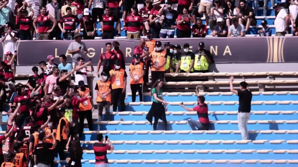 palmeirense e flamengo libertadores