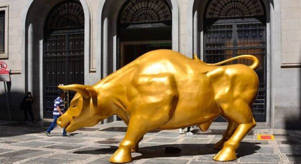 Touro de Ouro Multa
