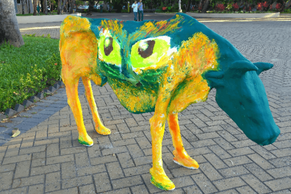 Vaca magra na rua