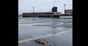 Pista de aeroporto