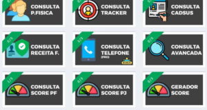 Painel com dados de brasileiros