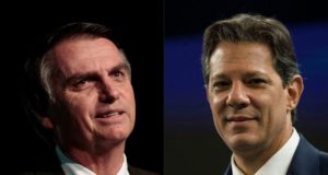 Bolsonaro e Haddad nordeste