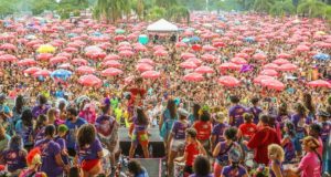 Foto de foliões