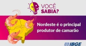 foto de postagem do IBGE