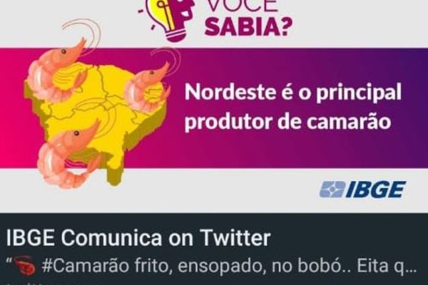 foto de postagem do IBGE