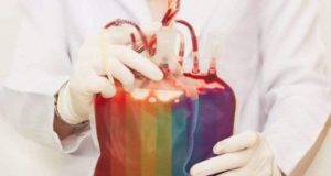 Foto de bolsa de sangue com a bandeira LGBT