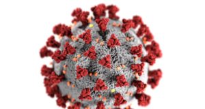 A imagem do novo coronavírus