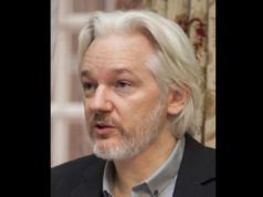 A imagem de Julian Assange