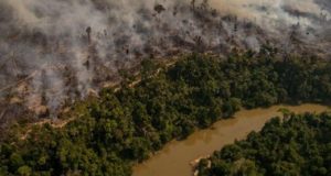 A imagem da Amazônia destruida