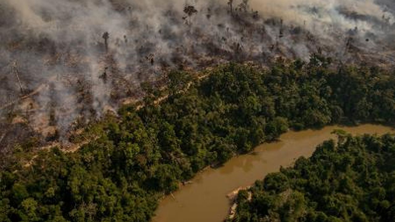 A imagem da Amazônia destruida