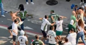 A imagem dos torcedores do Palmeiras