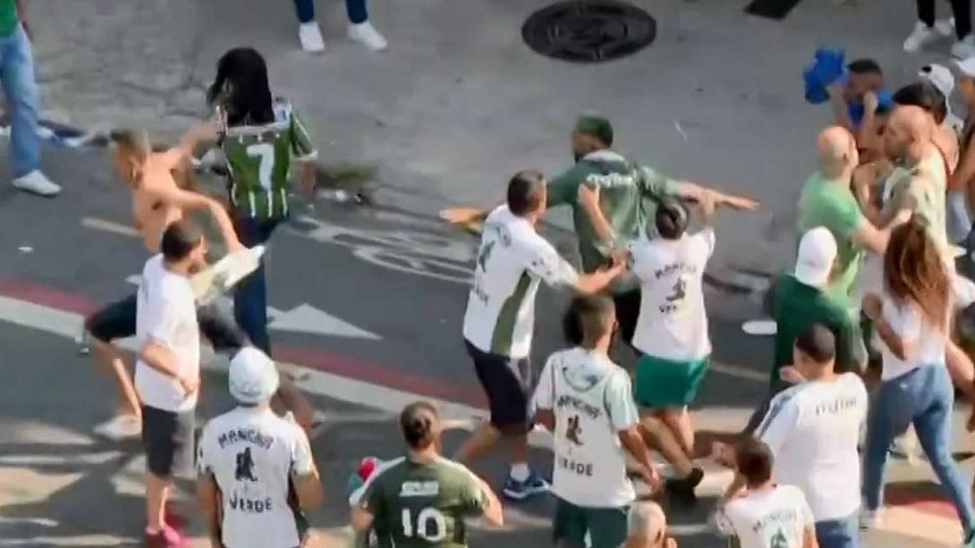 A imagem dos torcedores do Palmeiras