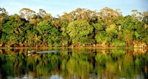 A imagem da Amazônia