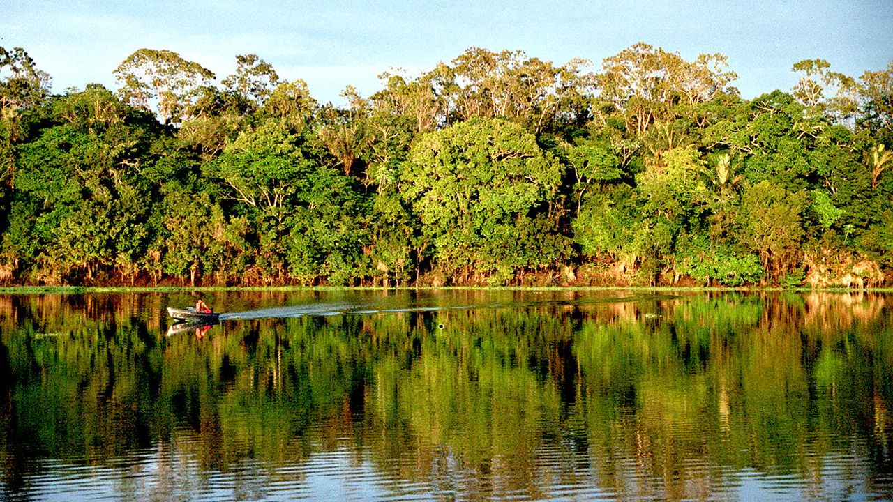 A imagem da Amazônia