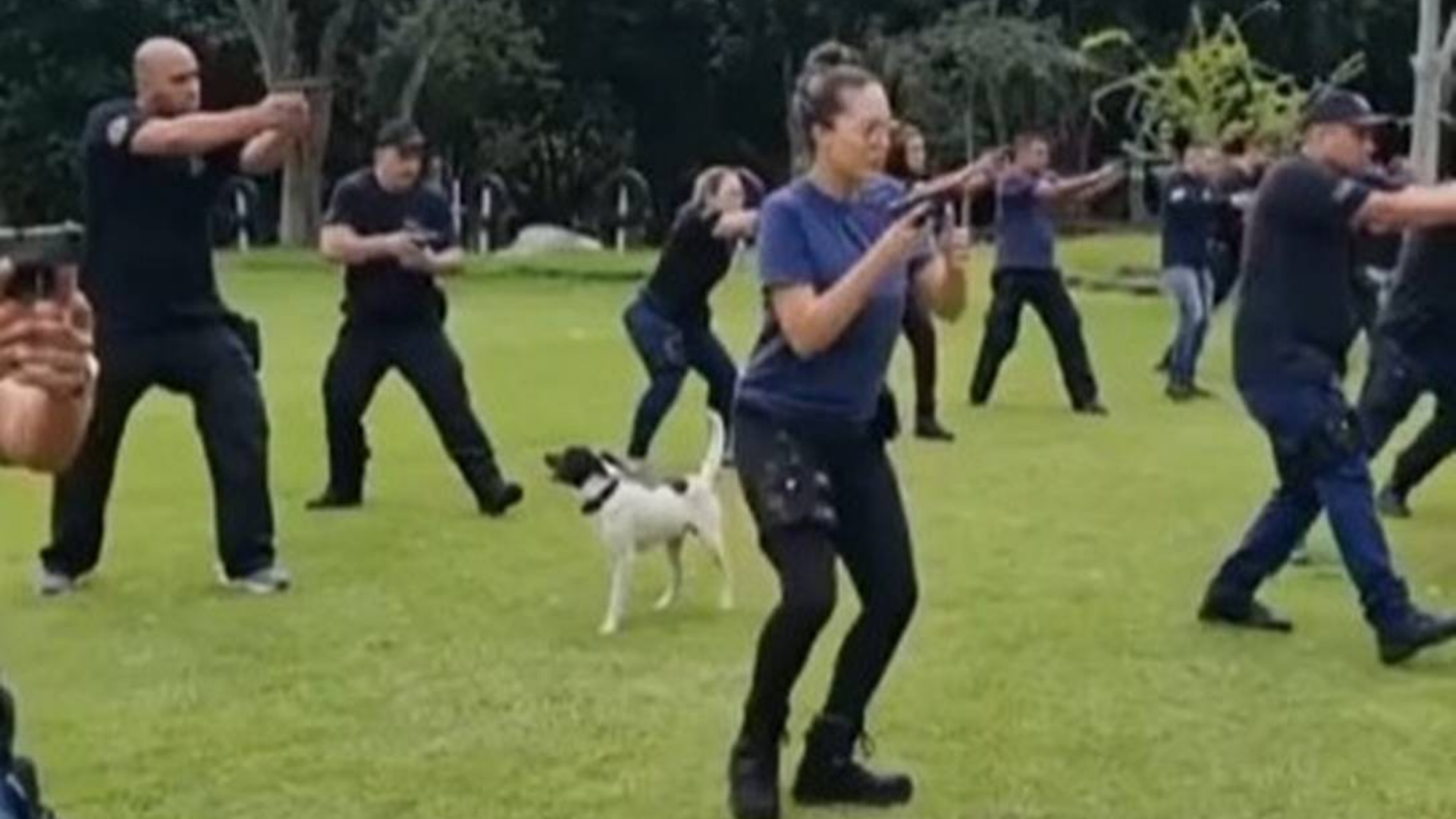 Policial que jogou granada em cachorro é intimado a prestar depoimento. Foto de treinamento com pessoas e o policial. O cachorro está no meio dos alunos.