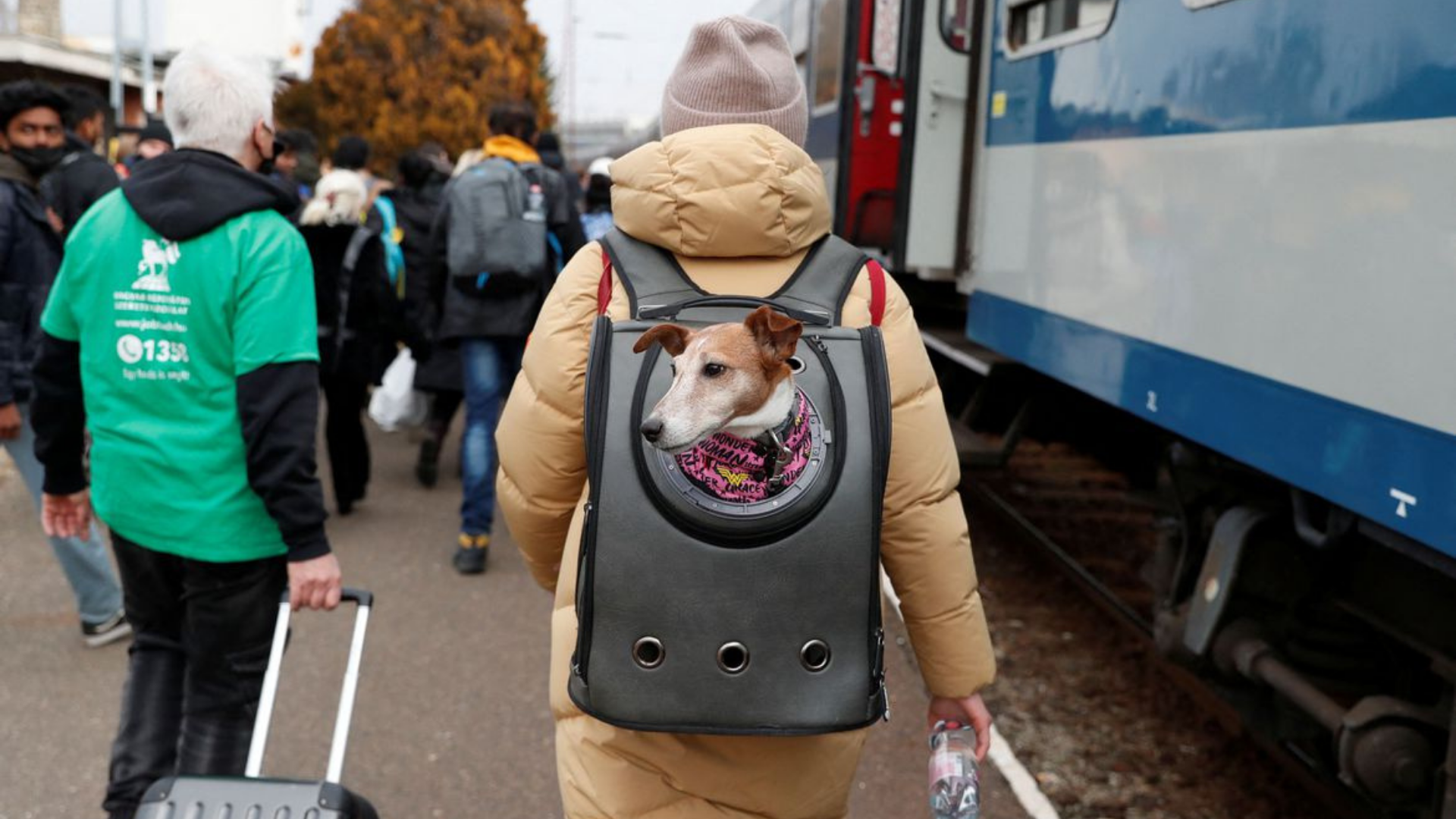 Rússia tentará novamente criar corredores humanitários na Ucrânia. Foto de adolescente caminhando com um cachorro dentro de uma bolsa.