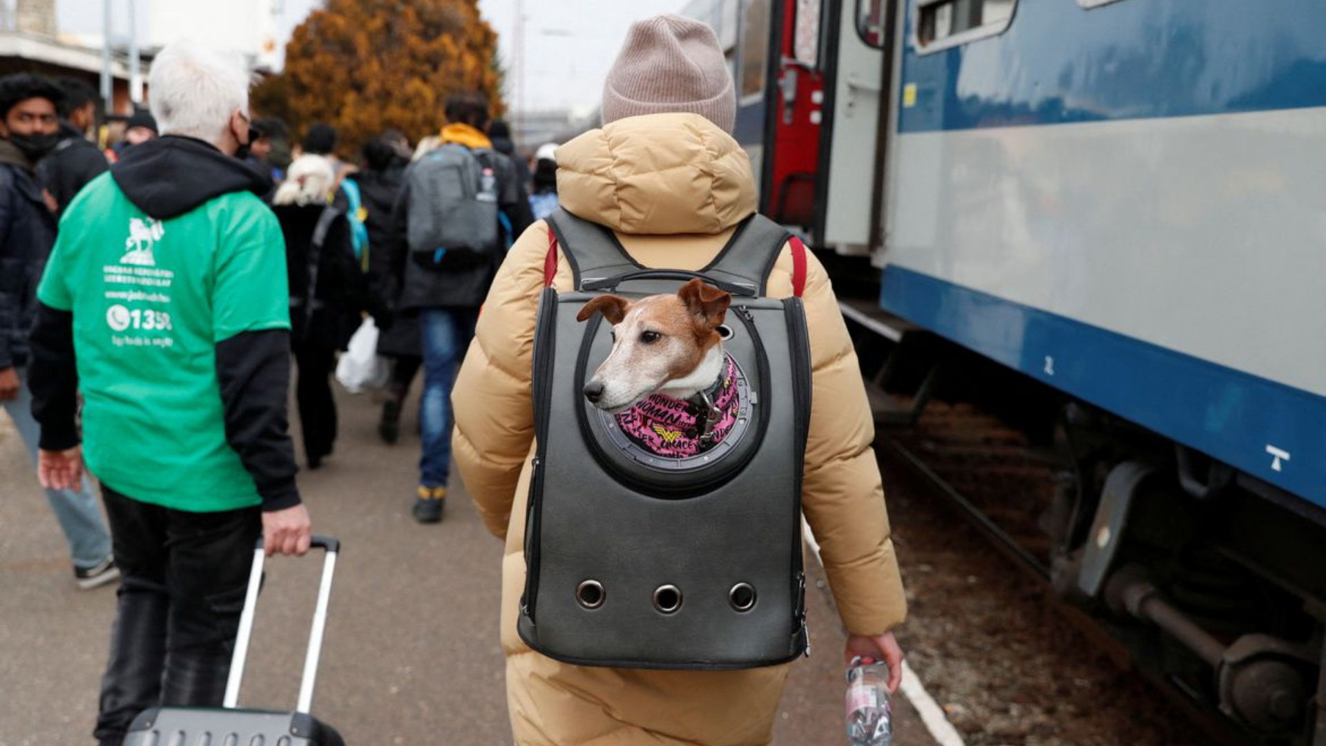 Rússia tentará novamente criar corredores humanitários na Ucrânia. Foto de adolescente caminhando com um cachorro dentro de uma bolsa. 