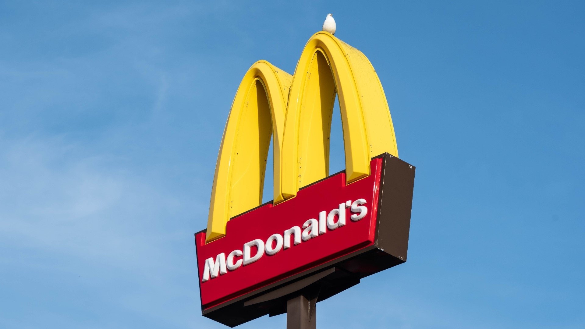 McDonald’s tem fornecedores ligados a desmatamento ilegal e trabalho escravo