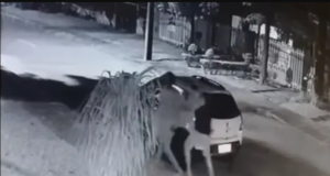 Imagem mostra trecho do vídeo da confusão em volta do carro.