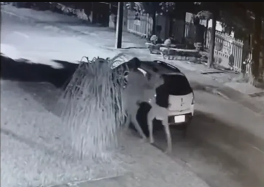 Imagem mostra trecho do vídeo da confusão em volta do carro com mendigo apanhando