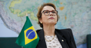 Ministra da Agricultura, Tereza Cristina, ao lado de uma bandeira do Brasil
