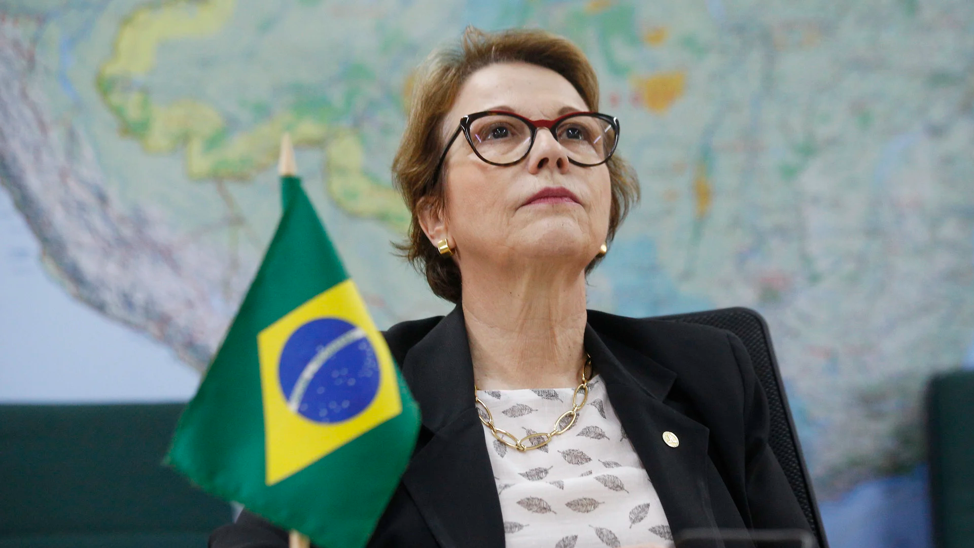 Ministra da Agricultura, Tereza Cristina, ao lado de uma bandeira do Brasil fertilizantes